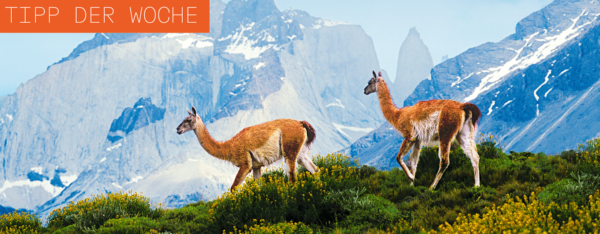 01754f65a0e78321893800c2cbf842e4daa6139e1bd61e141174c004dab73f8b