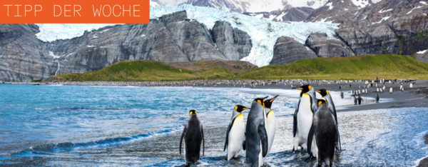 3242429de81946bb44f19d079c6e0b6f951ed6a3ec98da07fb93da75472570c4