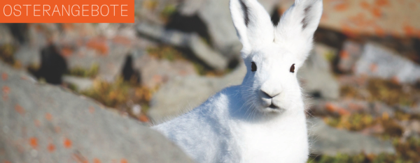 3fbd8502cc82af3077e82701896555eeead90194656b2c2eb1089bf1dbbd08ce