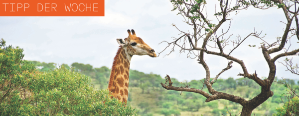 60f93462fb457f34b6976591713e191b9ae288d6d4e9486051216c285bfa8ce5