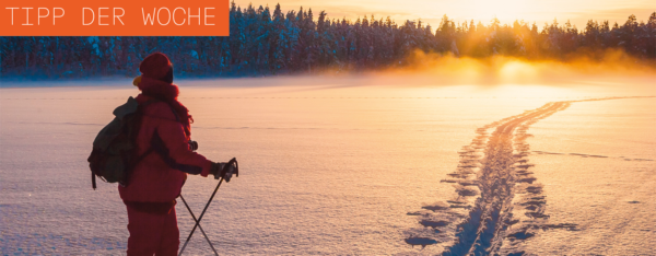 b1bf26879ffaa4cf87a2ebea915560a1de04a8e40ac22c82063657ed029ab88d