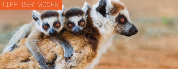 f8f75b1f49a7c1bbb143b2c81a7e6f53cd1678b90a39e54b1013ff797e0fee10