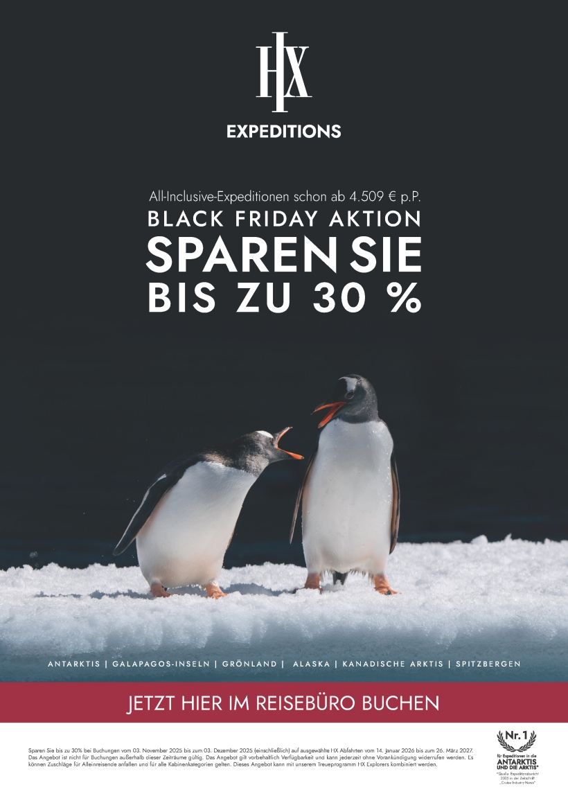 HX 2955 DE Print BlackFriday B2B2C OnePager W210xH297mm