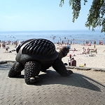 Riga Jurmala Schildkröte 150x150px