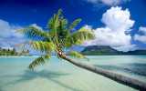 beautiful bora bora-160x100 Copyright freescreensite.com